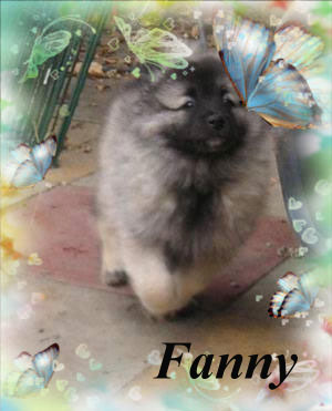 Fanna