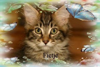 Fietje
