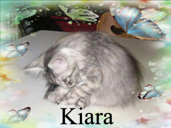 Kiara