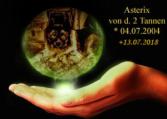 Asterix 