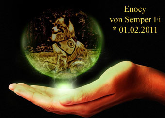 Enocy