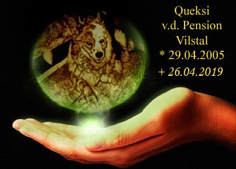 Queksi