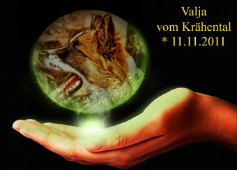 Valja